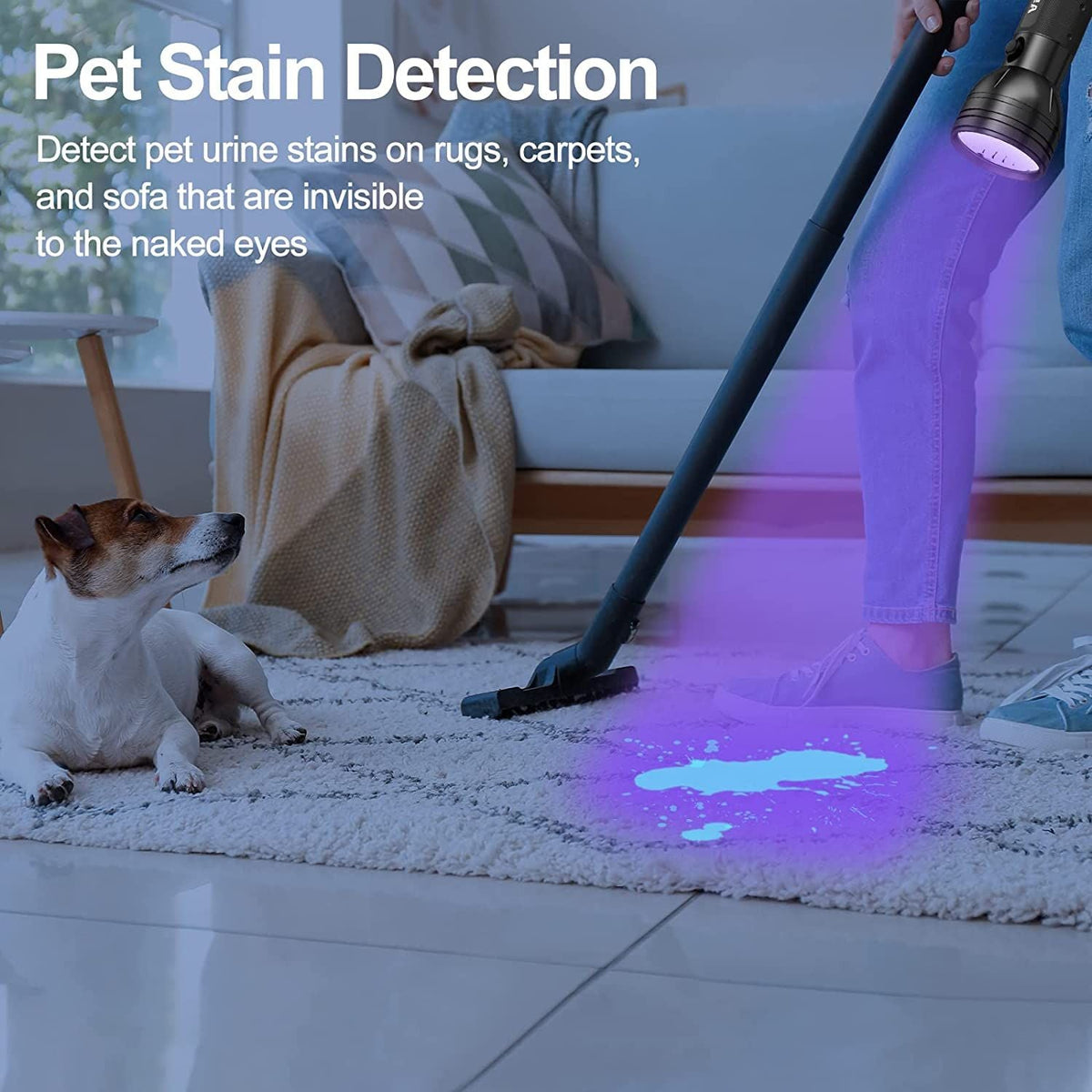 Hidden Urine Finding StainSpotter UV Light