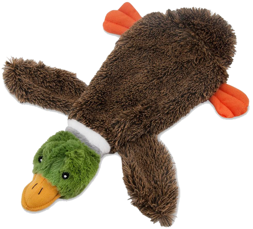 Crinkly Dog Toy