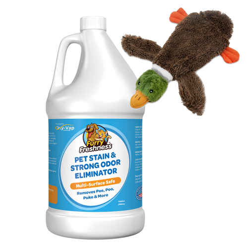 Gallon + FREE Toy