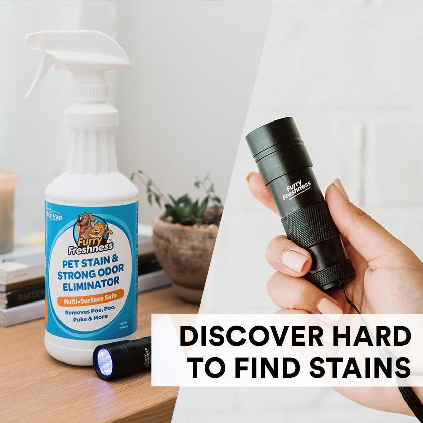 Hidden Urine Finding StainSpotter UV Light